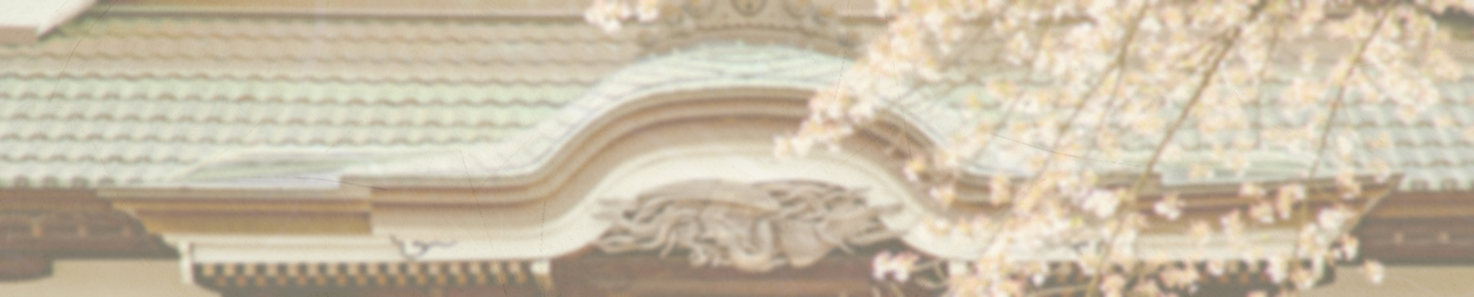 桜の木と雄山寺のお堂