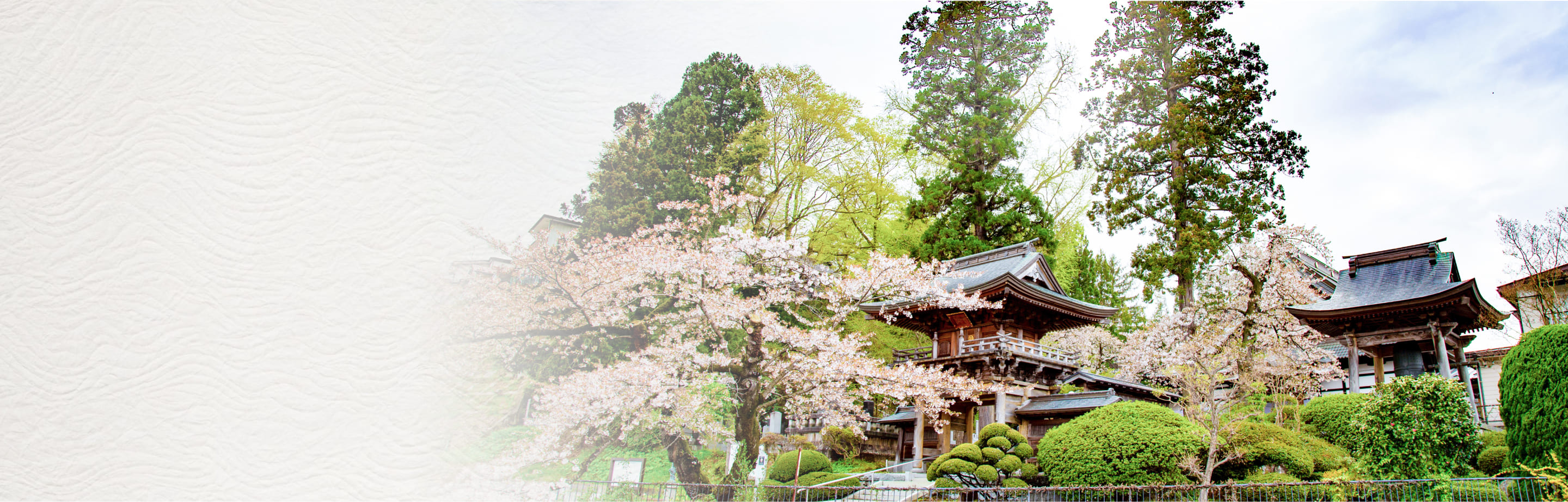桜の木に囲まれた雄山寺の美しい庭園